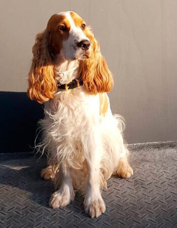 Espaço Multiplicidade Escritório Colaborativo